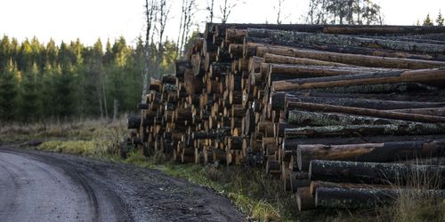 Regeringen skeptisk till taxonomikriterier