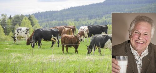 Här avslöjas hemliga köpesumman