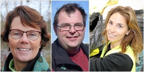 Trädgårdsodling starkast växande inom lantbruket