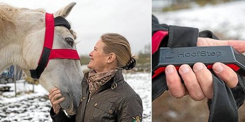 Svensk hästuppfinning ska ut i världen