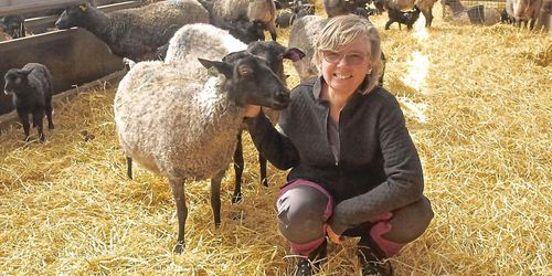 Fodervärdar för tackor räddar ekonomin