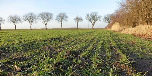 Osäkerhet kring miljökrav i nya Cap