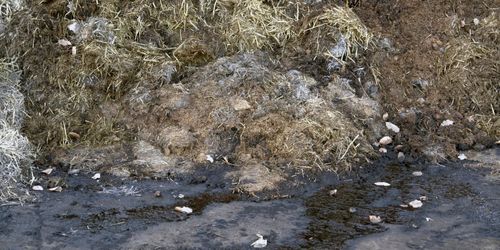 Mjölkgård slipper vite för utsläpp