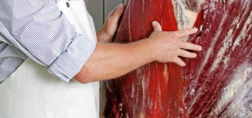 Nöt vaknade under slakten