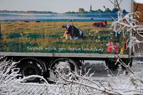 Kaosrisk i stan – på landsbygden rullar det på