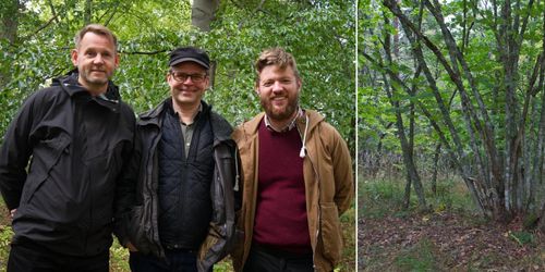 Brott och prygling i nytt avsnitt av ATL:s trädpodd