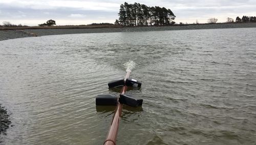 Bilden är tagen vid en annan damm men principen lär vara överförbar på många dammkonstruktioner.