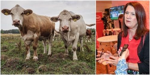 Linde vill lugna lantbrukare om handelsavtal