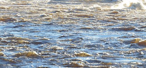 Papperstillverkare investerar i vattenkraft