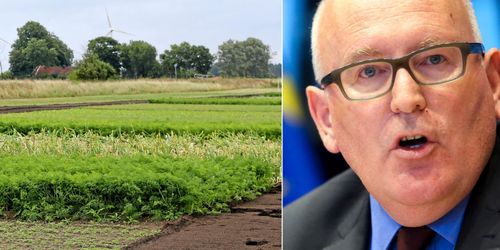 En rad EU-planer påverkas av pandemin