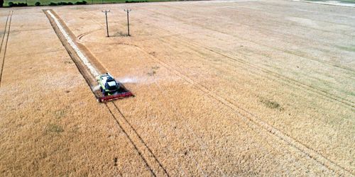 Svag spannmålsskörd i Skåne