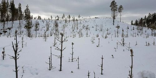 Nytt stopp för helikopterjakt