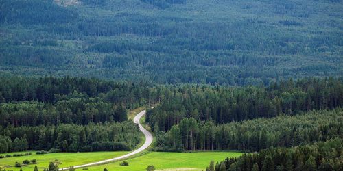 ATL avslöjar: Det här innehåller Skogsutredningen