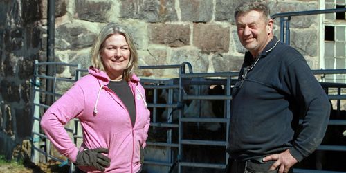 Utan djur – ingen omställning på Bäddarö