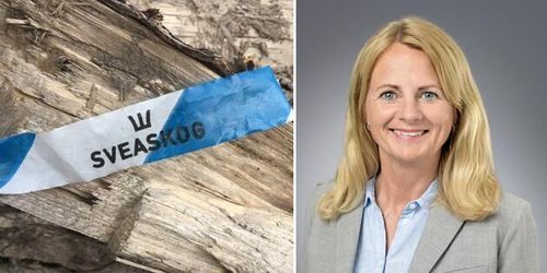 Ännu en hög chef lämnar Sveaskog