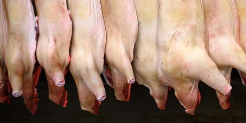 Slakteri fälls för miljöbrott – ska betala 50 000 i böter