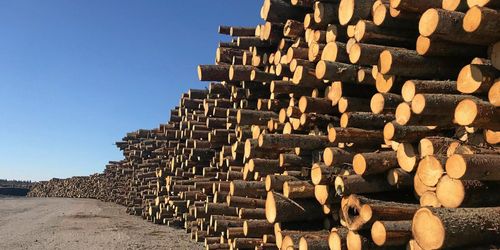 Snabb utskeppning ska rädda stormvirket