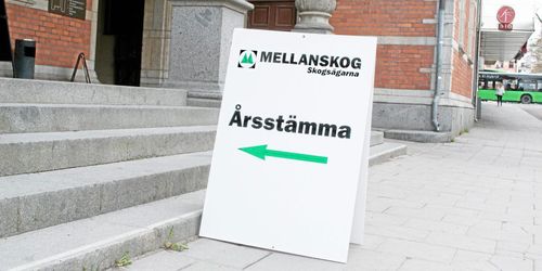 Uppåt på Mellanskogs stämma