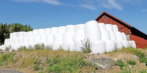 Torkan kan ge brist på foder i åratal