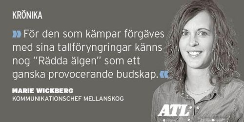 ”Rädda älgen” är att skjuta sig själv i foten