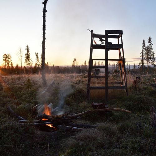 ”Stängda gränser förstör naturvården”