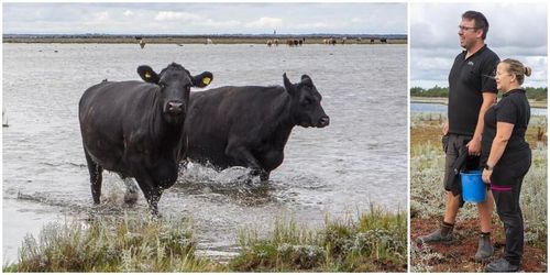 Här är fossilfri drift målet