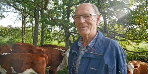 50 år som ekobonde: ”Har aldrig ångrat mig”