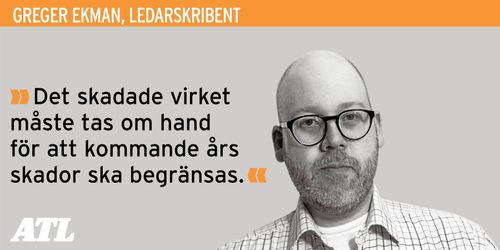 Granbarkborrarna måste bekämpas