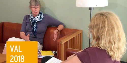 Miljöpartiet: Vi har dubblat stöden för skydd av skog