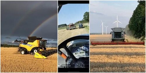 Läsarnas egna skördebilder