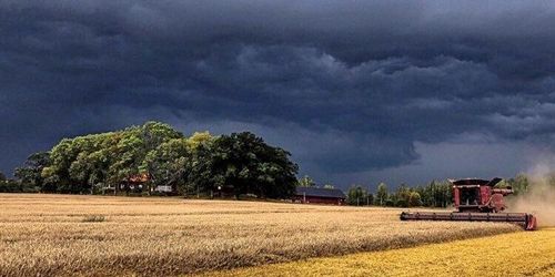 Regn och sena leveranser oroar inför sådden