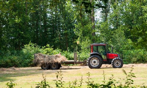 Bensin och diesel fortsätter dyka i pris