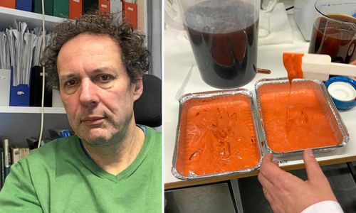 Forskare vill ersätta palmolja med halm och sågspån