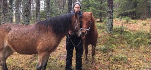 Nyårsskrämda russen hittades i skogen