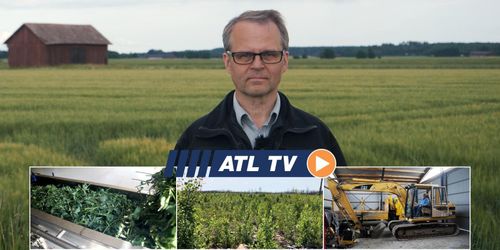 ATL TV: De sådde raps i en månad