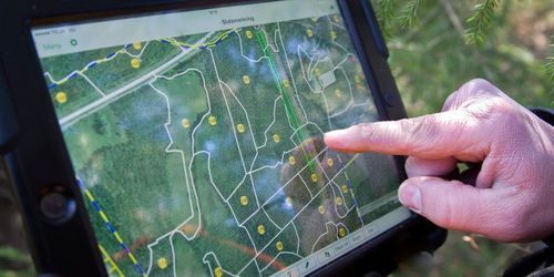 Nytt projekt ska utveckla skogsbruksplanerna