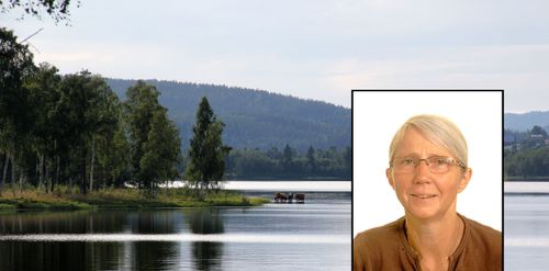 Strandskydd: Gäller kartan eller verkligheten?