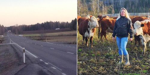 Borttagen vägren skapar oro bland lantbrukare