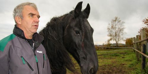 En kusk från Bjäre utmanar mästarna