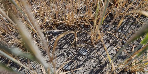 Utredningar tillsätts efter extremväder