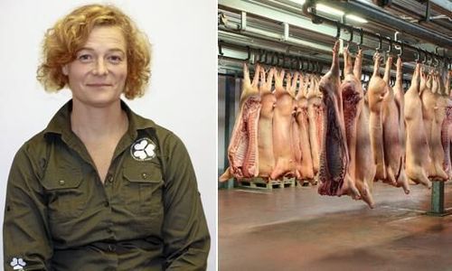 Bryt inte länken till djurägarna