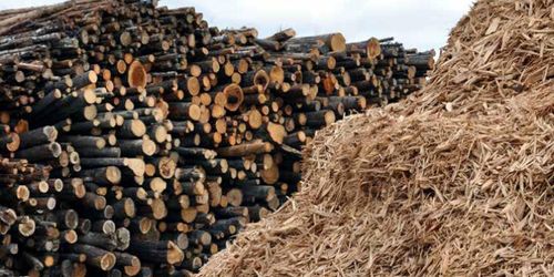 Bränsleved blir prima eller utskott