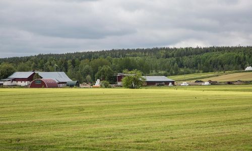 Landsbygdspartiet behövs