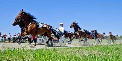 Riksintaget i fara på Wången