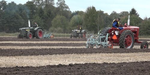 Fårade traktorer i fårorna