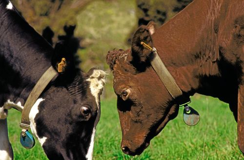 Frågan om landets förmåga att hantera en krissituation har återigen blivit högaktuell.