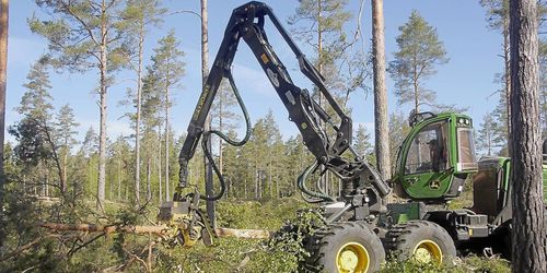 Drastisk minskning av Södras avverkningar