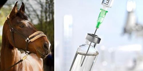 Nytt kvarkavaccin ett steg närmare marknaden