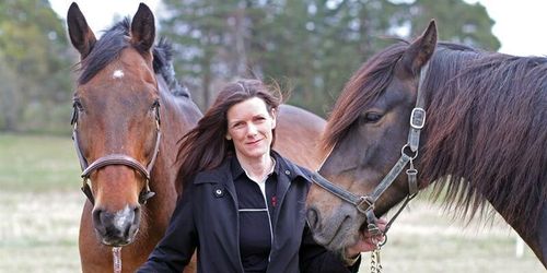 Se upp för lömska lönnen