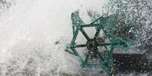 Förlorare trots att han nu fått rätt